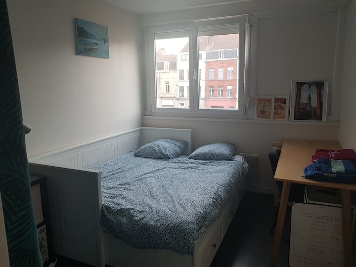 LILLE Cozy room in a nice apartment Apartments for Rent in Lille