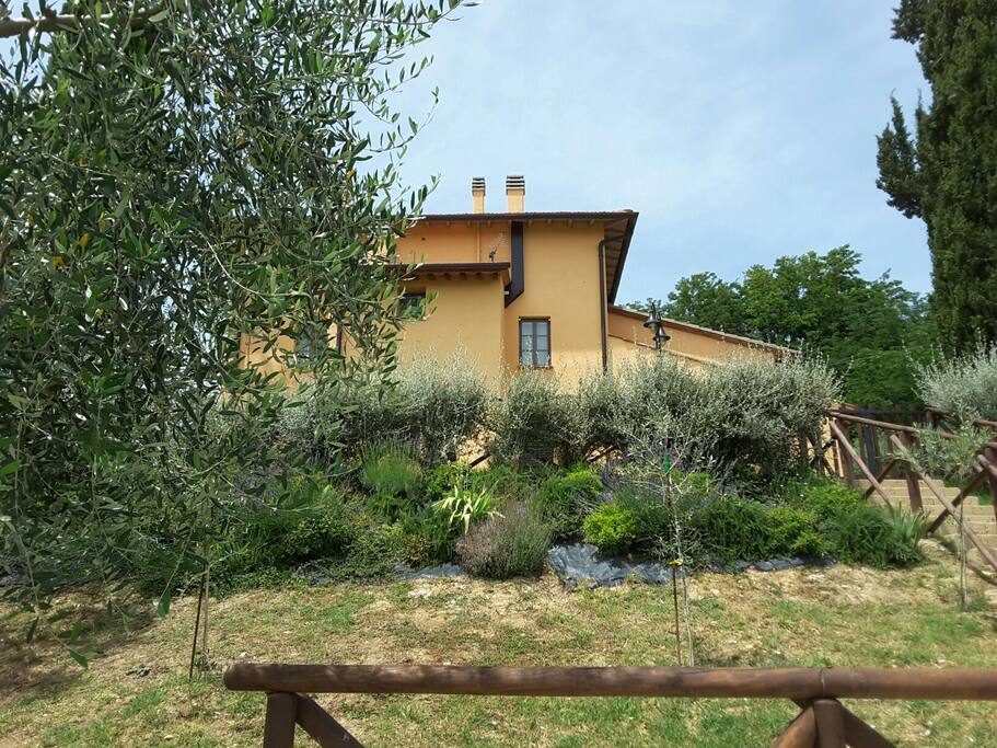 the house