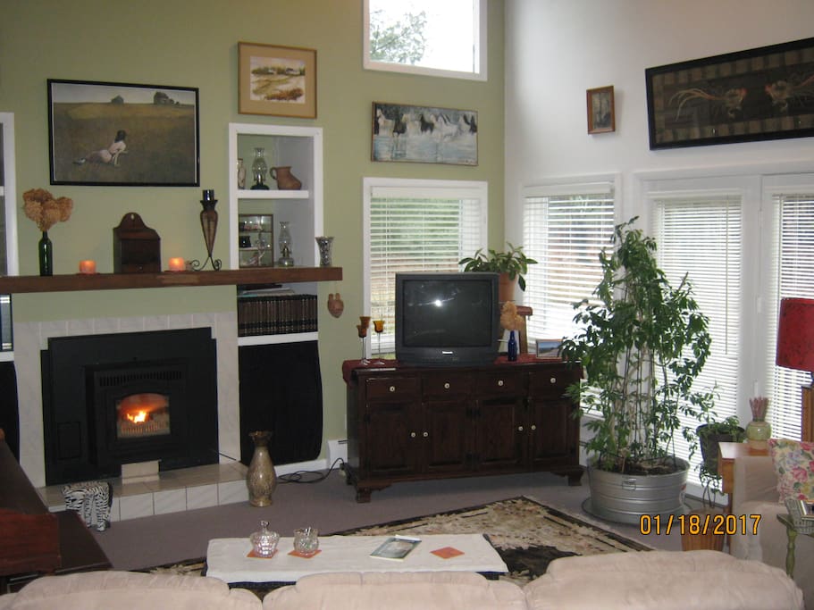Plenty of natural light in my living room with Cathedral ceiling.