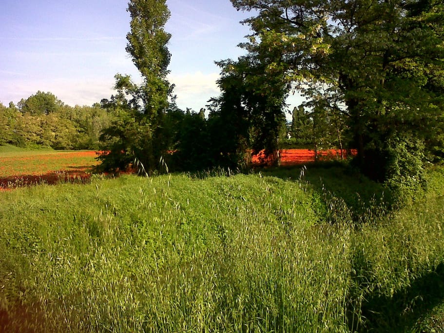 nelle vicinanze... / near areas