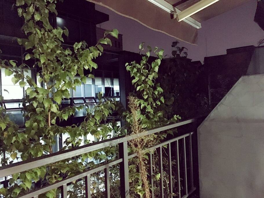 Night Scene