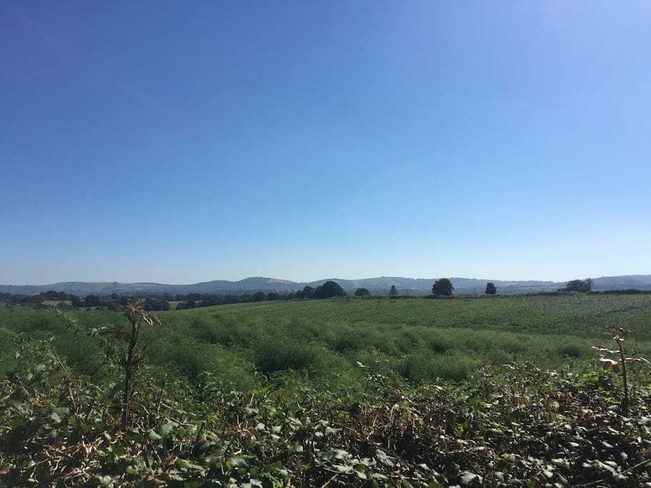 Beautiful view of the South Downs, taken from directly outside the studio