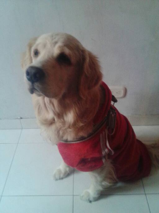 Compañera Fiel :D