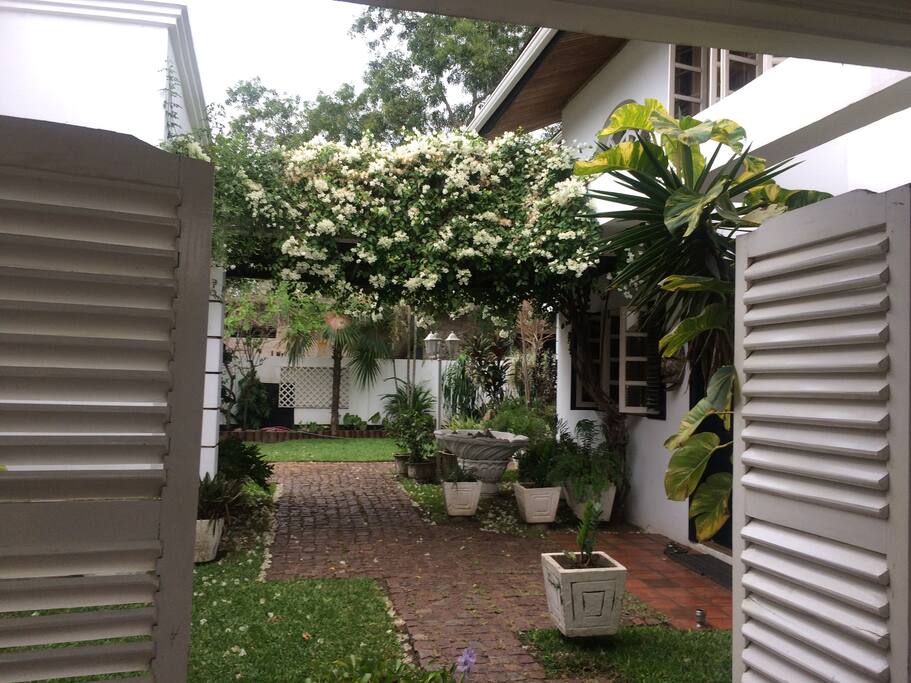 Back garden