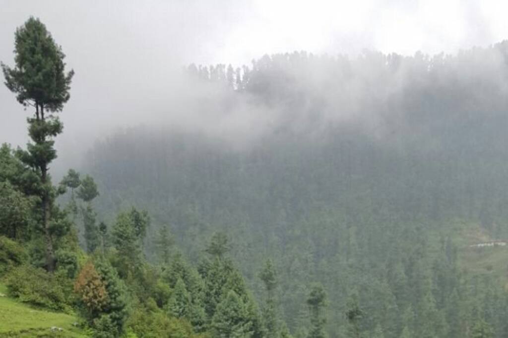 Yakhtangay swat