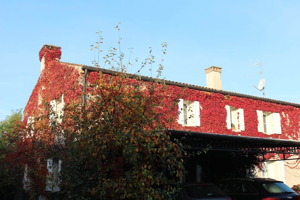 In autunno la facciata della casa si accende di uno sgargiante rosso della edera rampicante