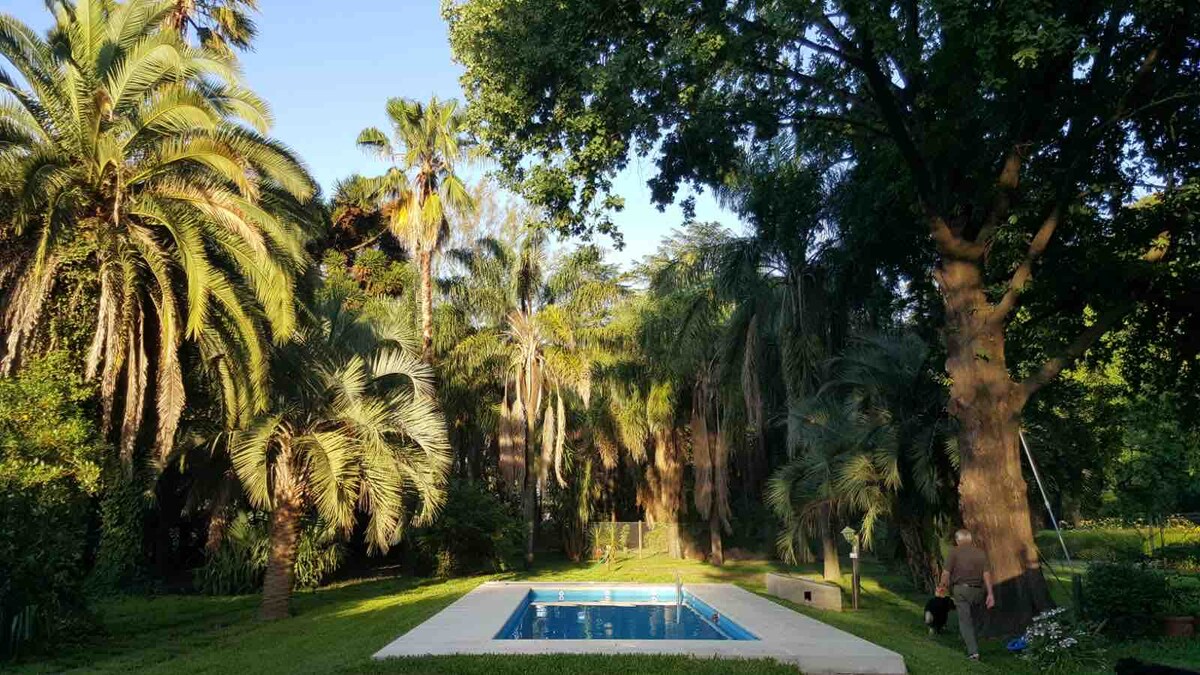 The serene outdoor area features a rectangular swimming pool surrounded by lush greenery, including various palm trees and dense foliage. Sunlight filters through the trees, creating a tranquil atmosphere. A grassy area complements the pool, enhancing the natural environment.