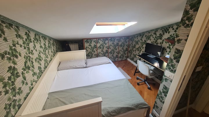 Habitación Attic 2 Botany