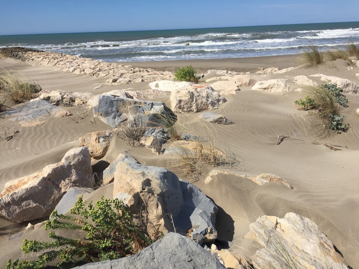 Sandy dunes meet the ocean, where gentle waves roll onto the shore. Various rocks are scattered among the sandy terrain, accompanied by tufts of sea grass. The sky is clear, enhancing the natural coastal landscape.