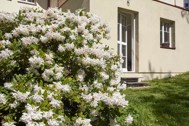 Garden view apartment