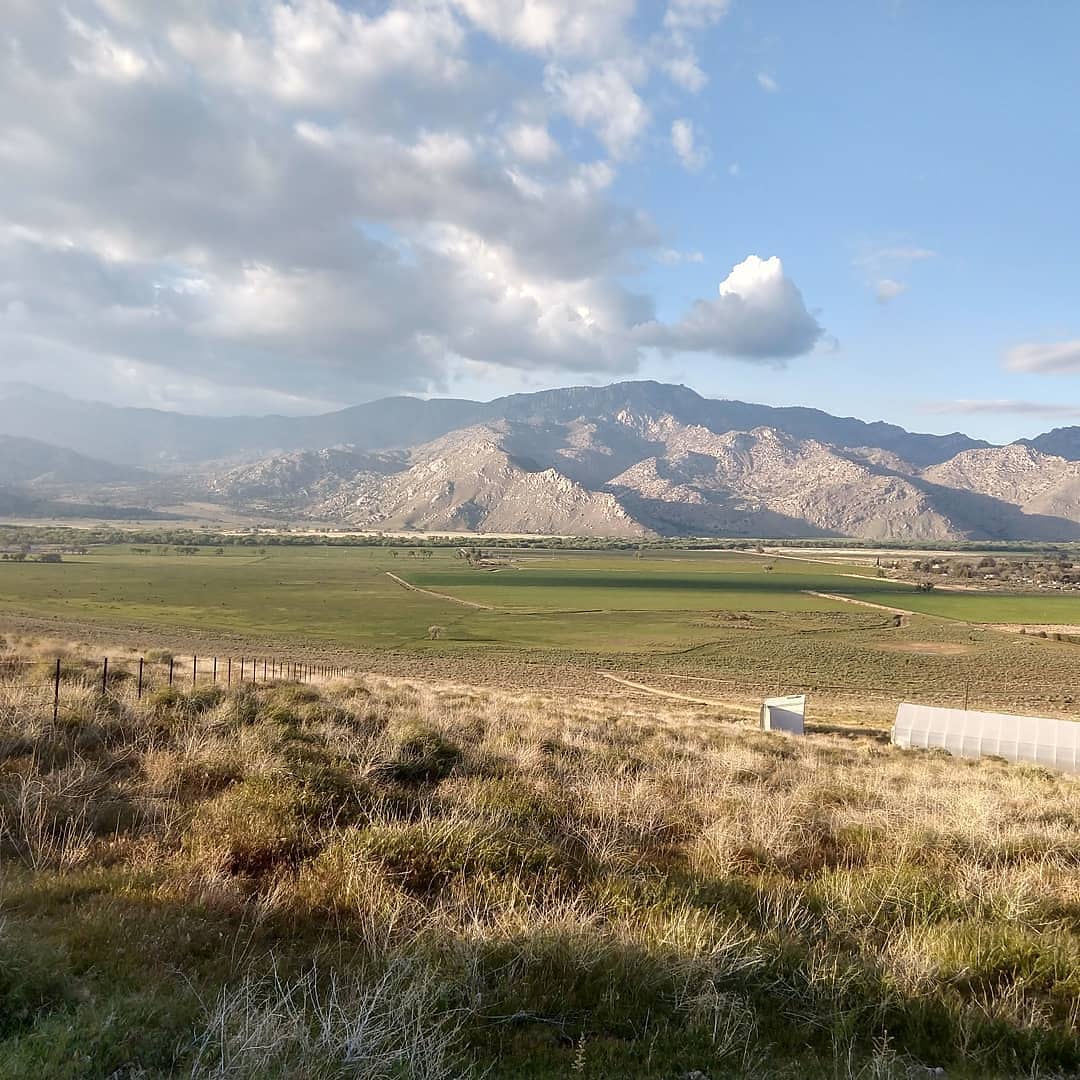 A panoramic view showcases rolling hills and expansive green fields, framed by the Sierra Nevada Mountains in the distance. Fluffy white clouds drift in a blue sky, enhancing the serene landscape. A rustic fence adds depth to the foreground, complementing the natural beauty.