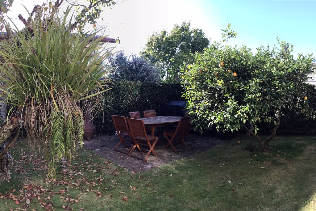 Relax in the family friendly garden