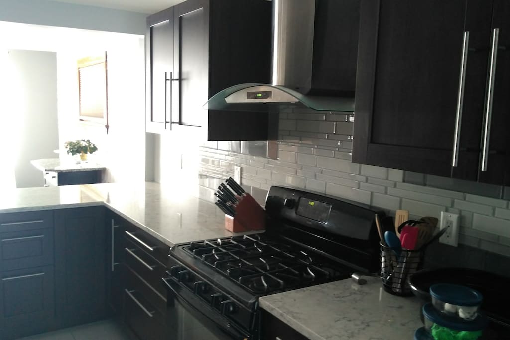 Gas stove