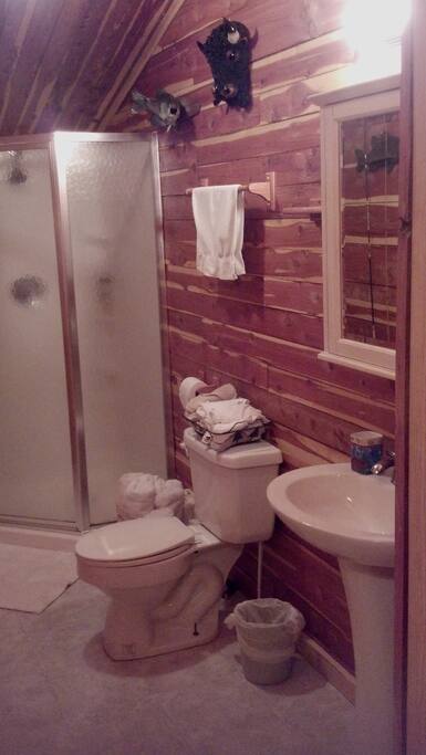 Bathroom and shower