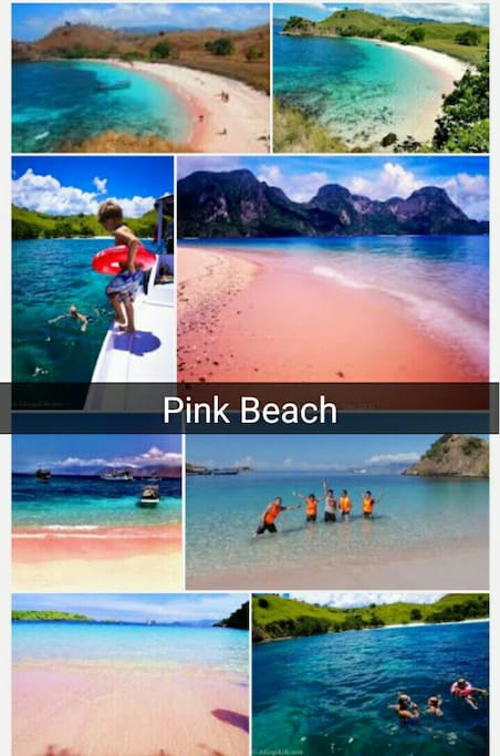 pink beach