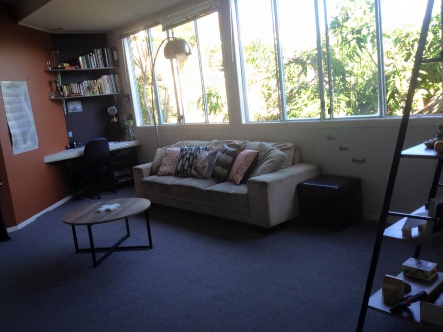 The windows looking out onto an old Mango tree