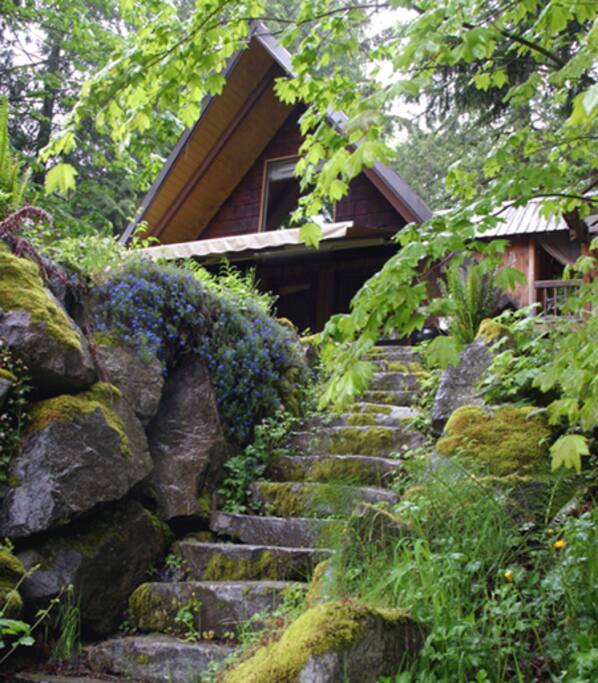 Romantic Riverside Cabin, Hot Tub with Mtn View Cabins for Rent in