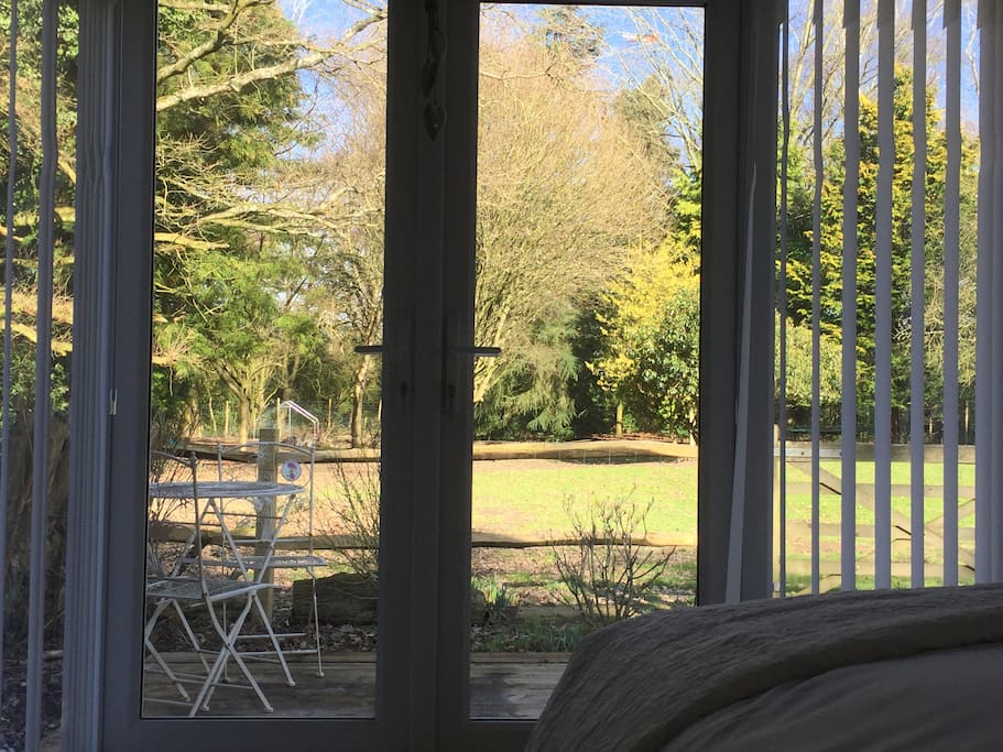 Amazing View from the bed!