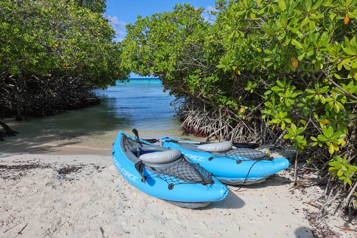 Two blue kayaks are positioned on a sandy beach, framed by lush green mangroves. The calm water extends into the background, reflecting shades of blue, while a clear sky is visible above, enhancing the natural tranquility of the scene.