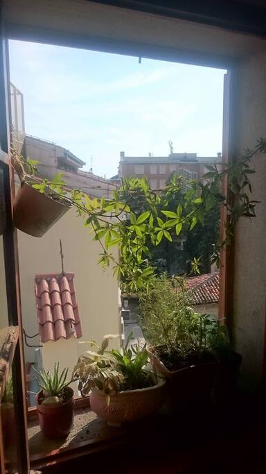 Bedroom view