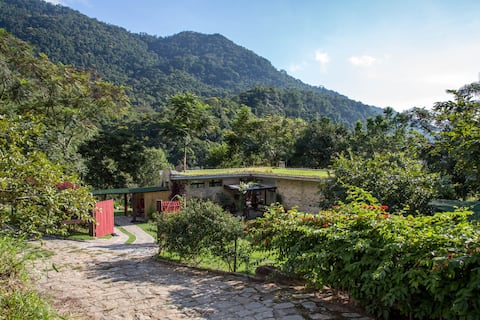Serra da Bocaina, Bananal, Guapuruvus County.