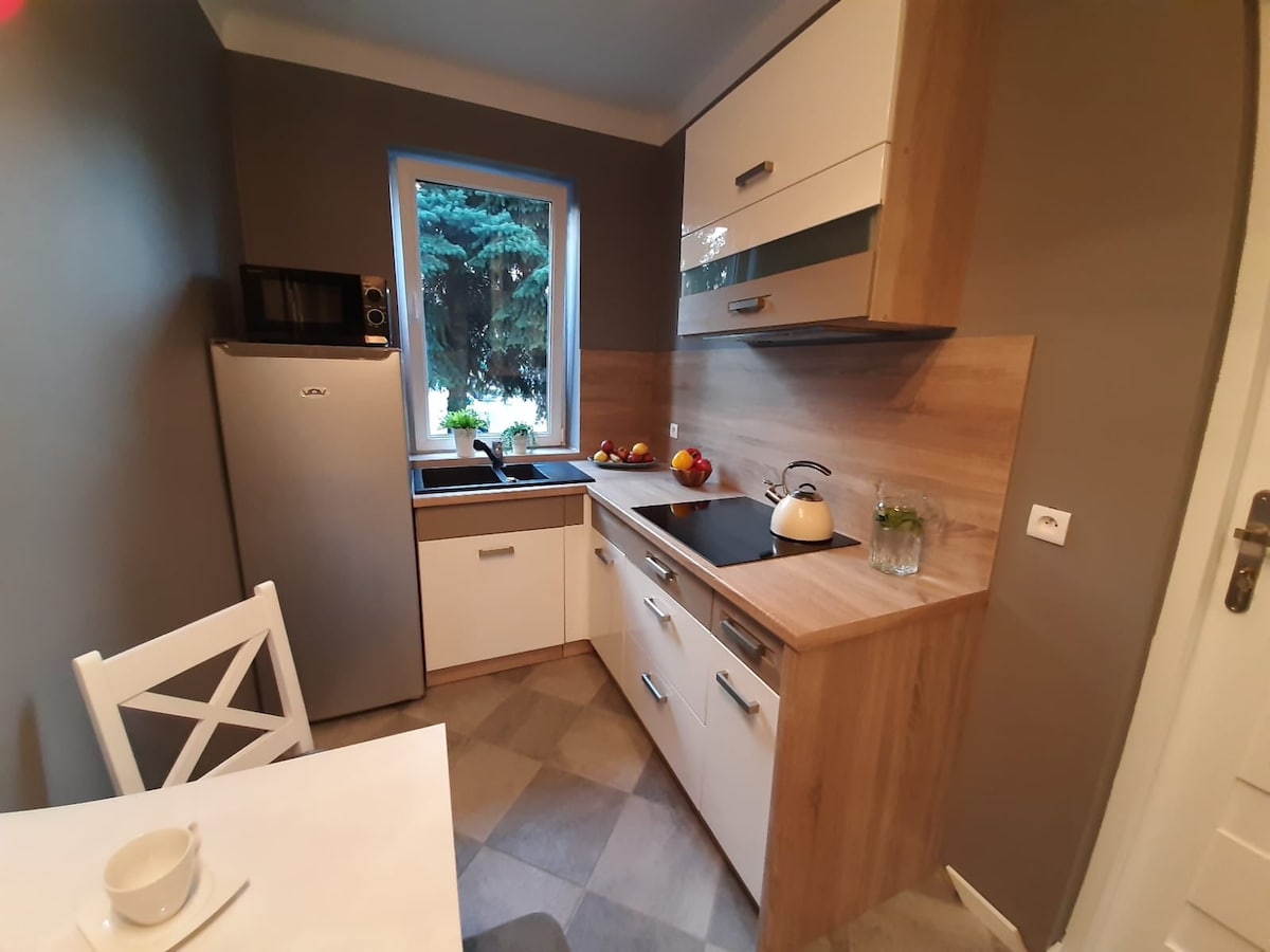 A compact kitchen features modern cabinetry with ample storage. A sink is positioned under a window that provides natural light. Appliances include a microwave and refrigerator. A small dining table with chairs is present, ideal for casual meals or coffee.