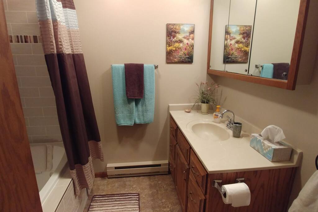 Bathroom with shower and tub
