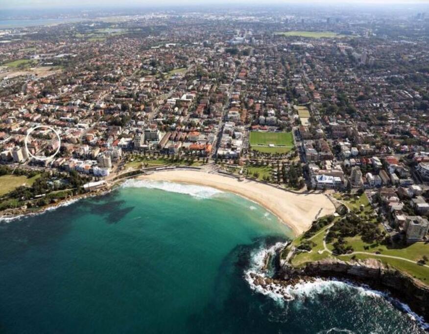 Coogee Beach and our location in the white circle.