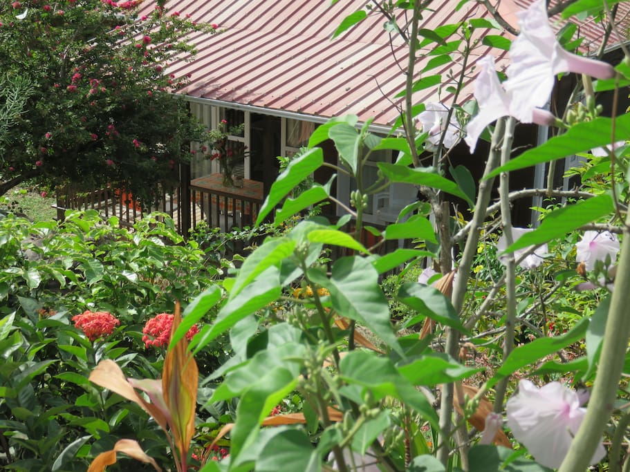 BUNGALOW VU DU HAUT