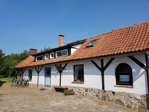 Holidays in Old Backhus
