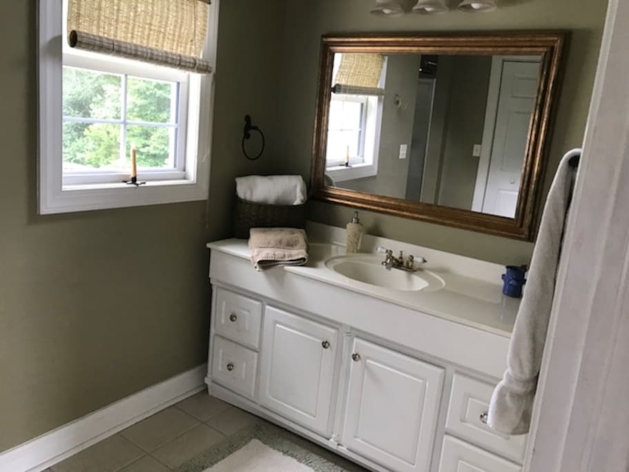 Guest private bathroom
