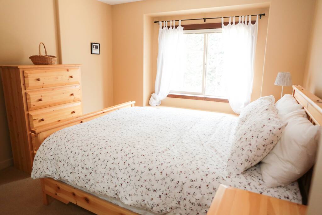 2nd bedroom over looking skating loop