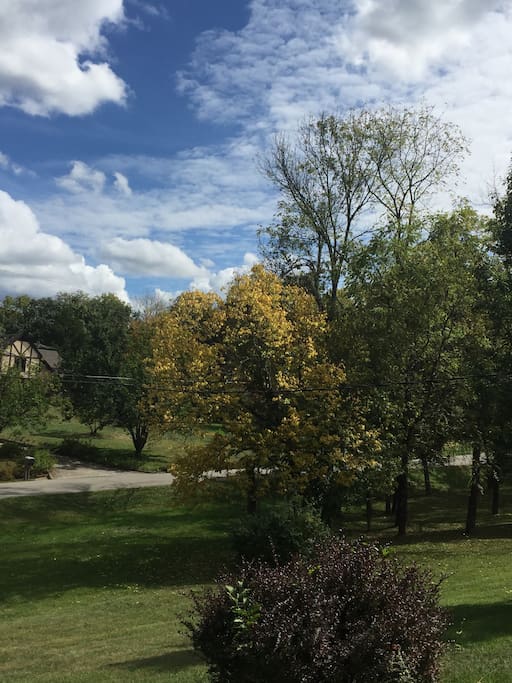 View from the front porch