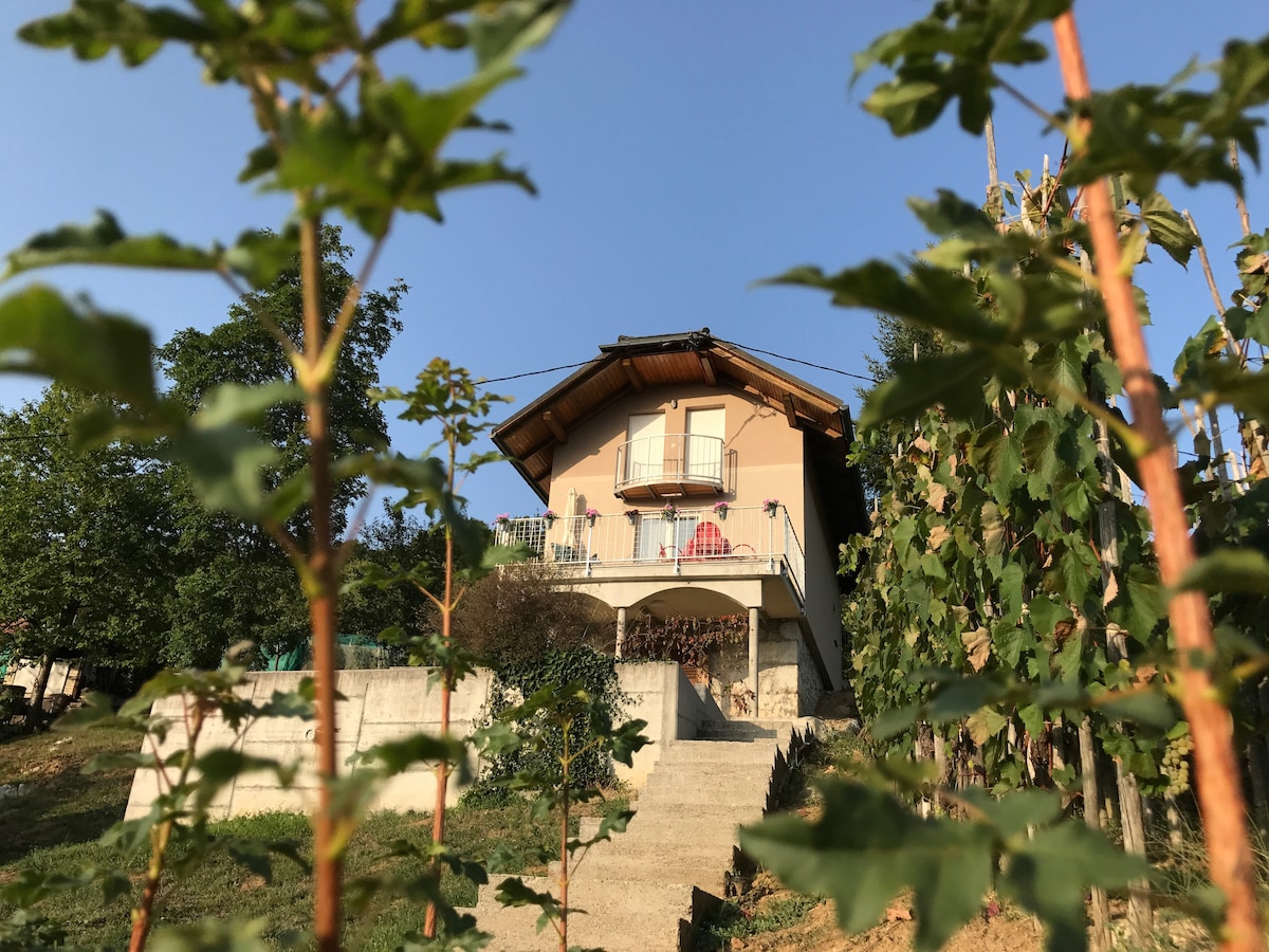 The house is set among vibrant vineyards, featuring a welcoming façade with a balcony overlooking the landscape. Concrete steps lead to the entrance, framed by young plants that create a sense of privacy. Clear skies add to the serene atmosphere of the surroundings.