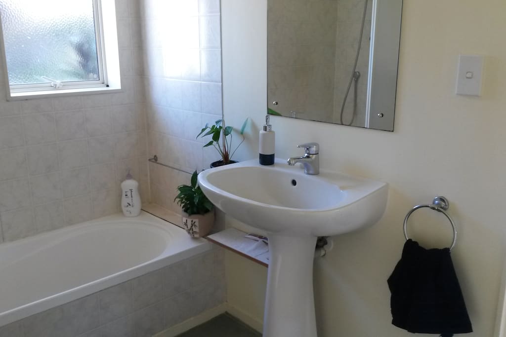 Guest bathroom shower over bath