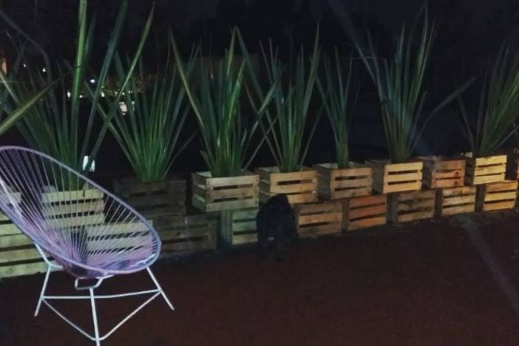 terraza