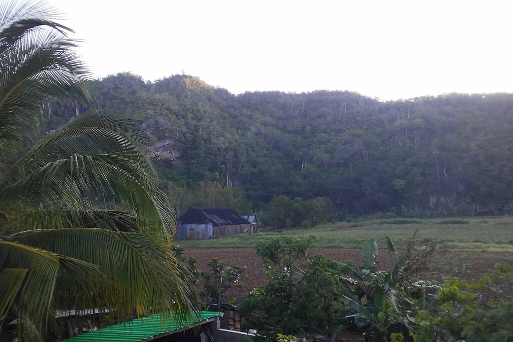 CASA CAMPO ISA LA PELUQUERA 2