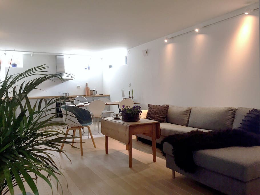 Living room and kitchen area