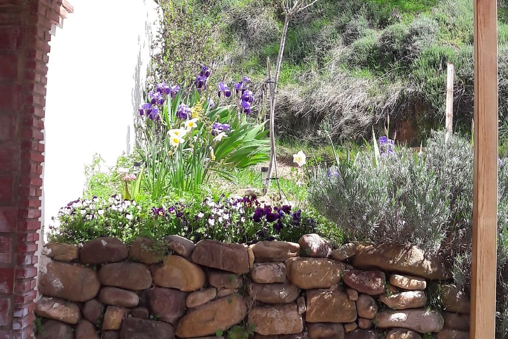 Empieza a haber flores