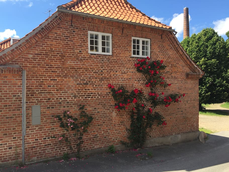 The two windows belong to the alcove room
