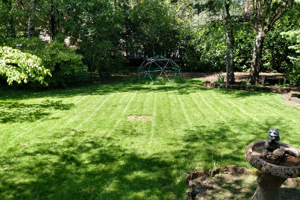 Backyard with deck.