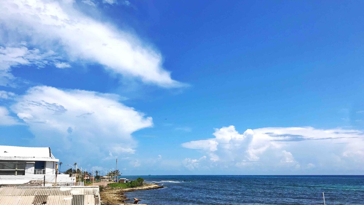 A panoramic view of the ocean is captured, with a vibrant blue sky interspersed with white clouds. The calm sea gently meets the rocky shoreline, while the beach area is sparsely populated with coastal vegetation and buildings visible on the left.