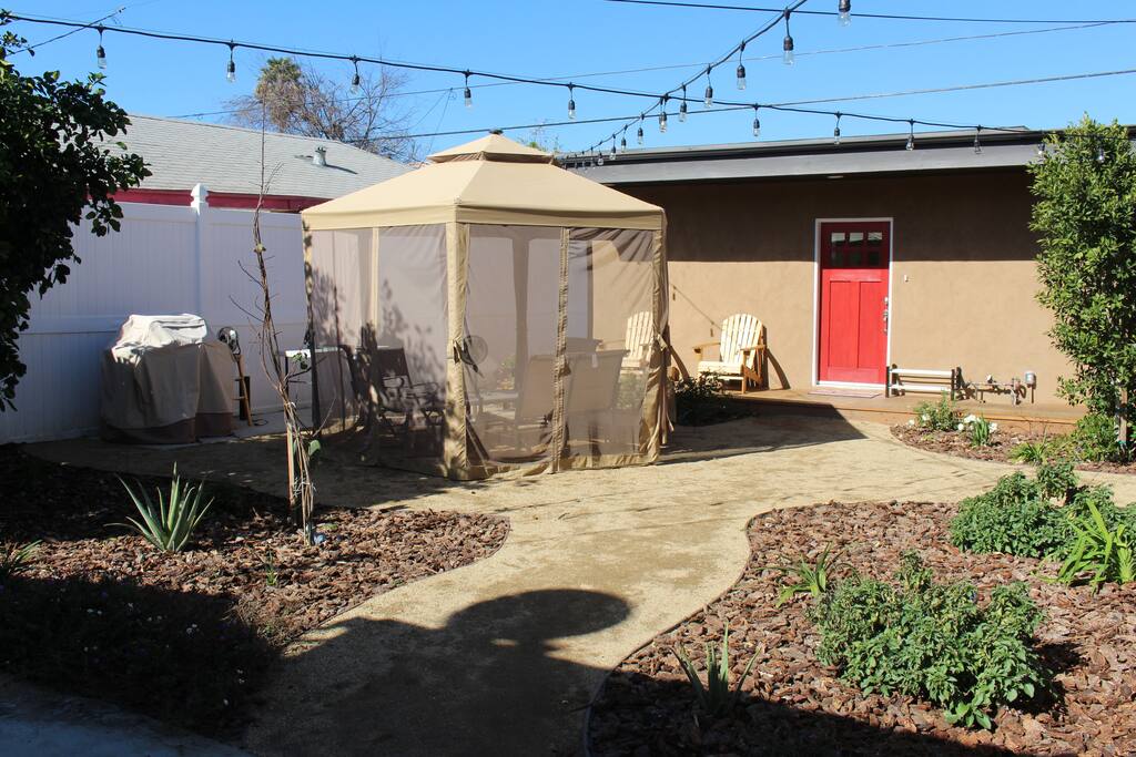 Backyard.
