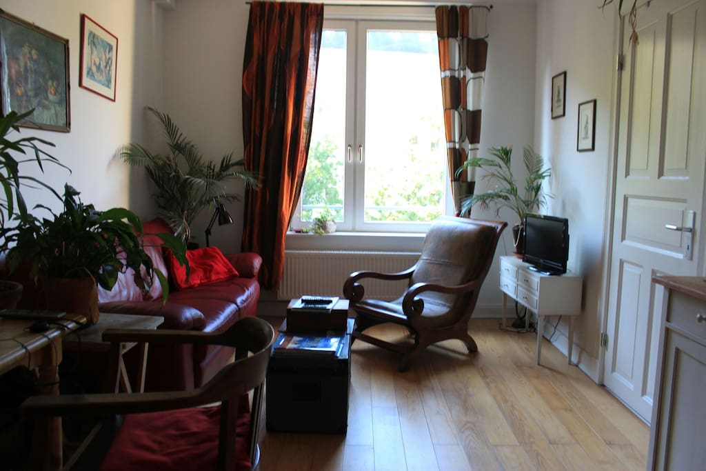 Living Room from the other side