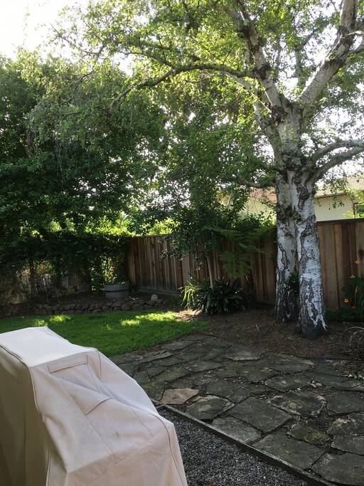 Private backyard with grill