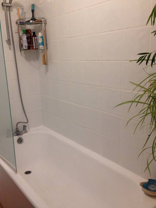 Shower over bath
