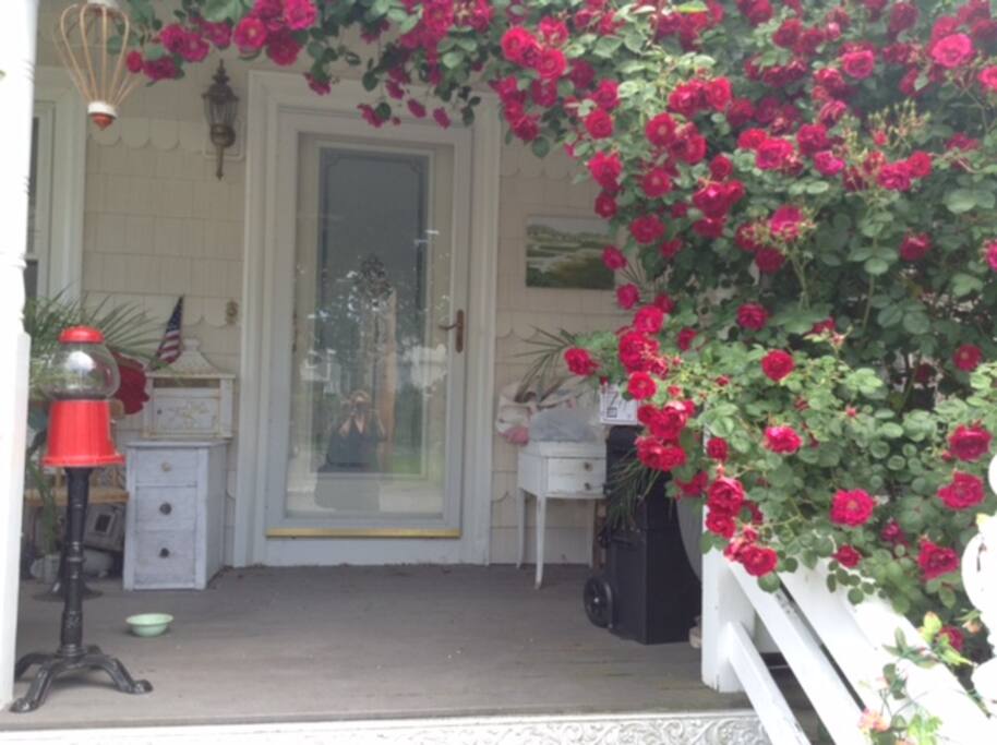 Front door, late spring.