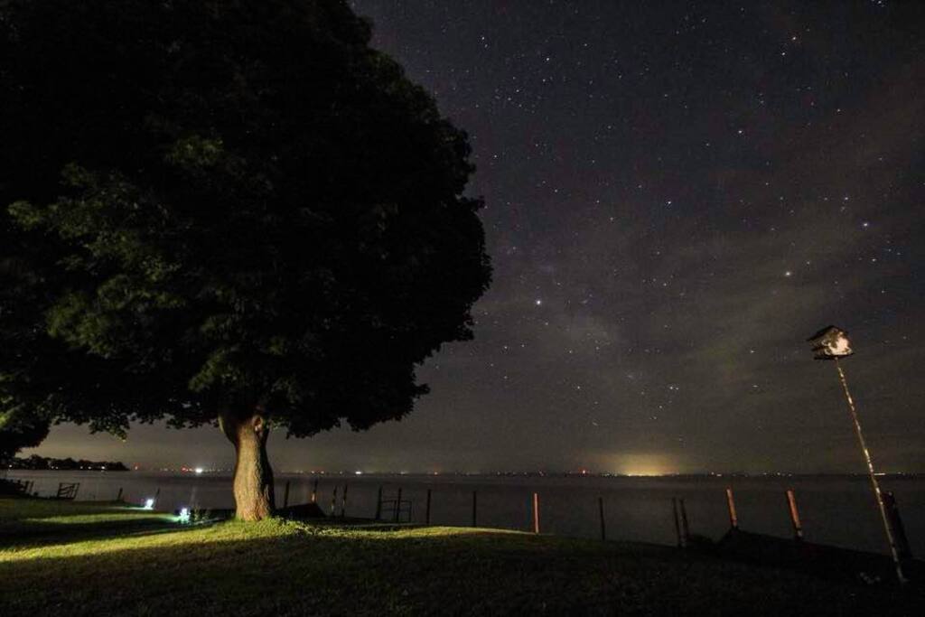 Starry Nights