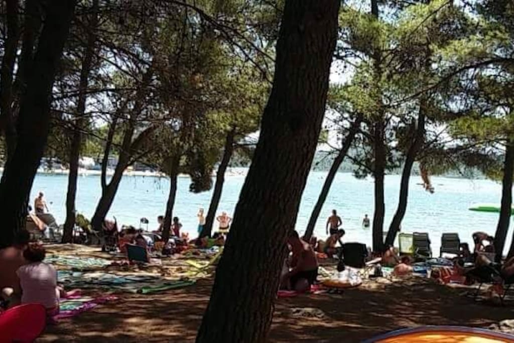 beach Lolic