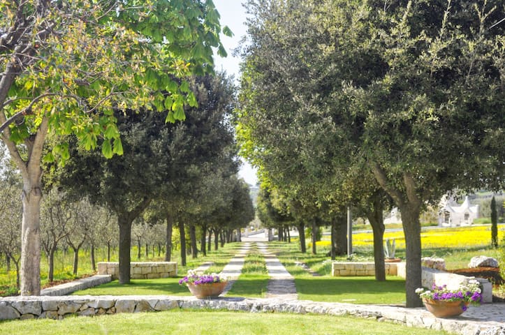 Villa Torto Monopoli Valle D’ itria Puglia gallery image 2